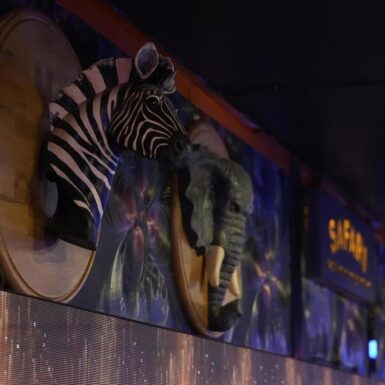 _DSC3465-3504×1972-1280×720